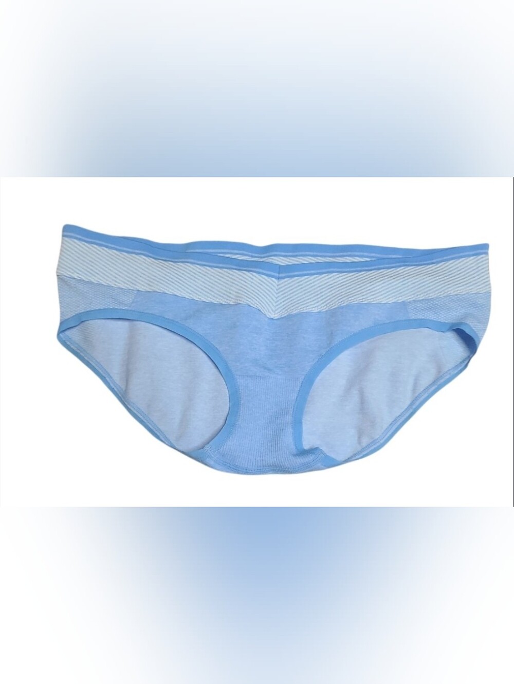Aerie Brief Panty, Large